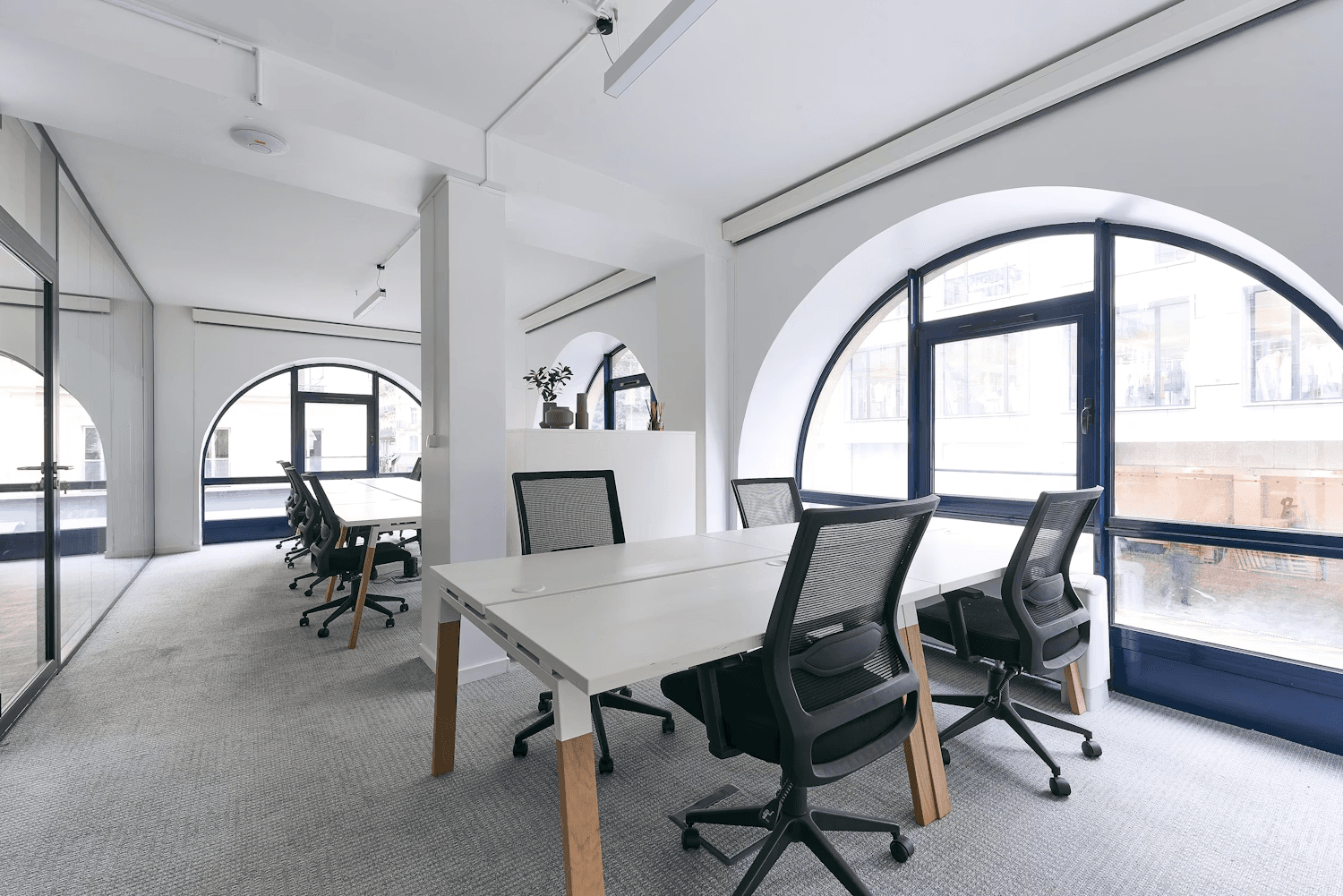 Professional wall-to-wall carpet cleaning in Paris